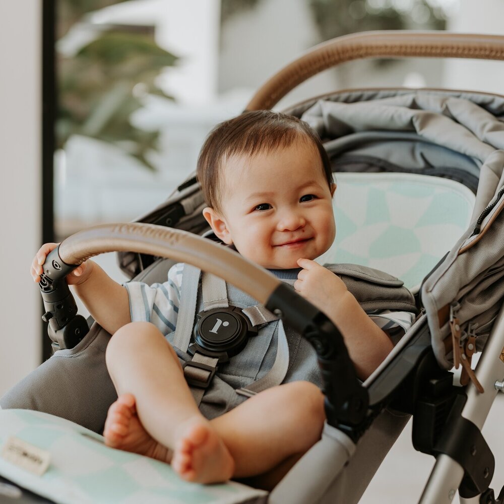 Air layer buggy Cute Cubes