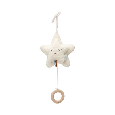 Muziekhanger star Ivory