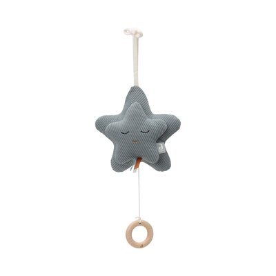 Muziekhanger star Sea Green
