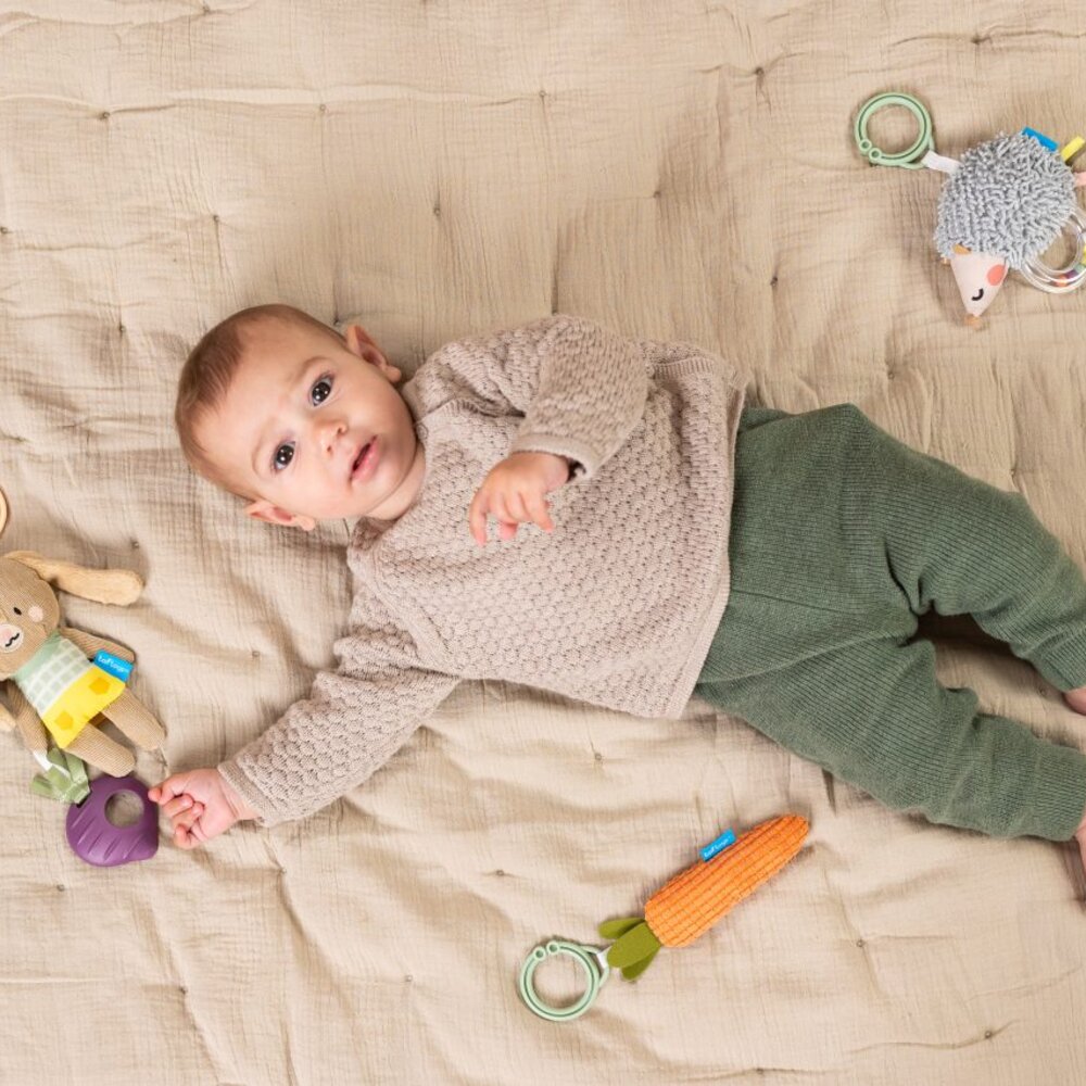 Activity Toys Kit