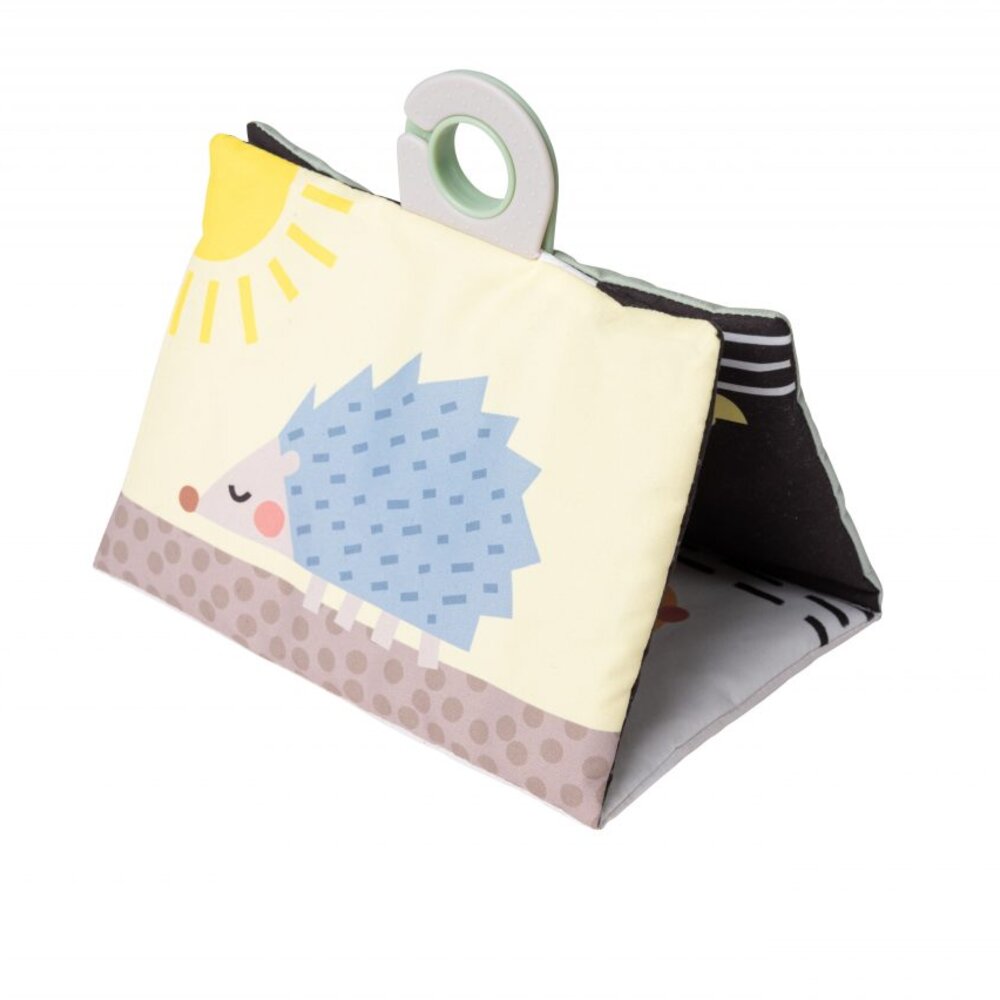 Tummy-Time Essentials Kit