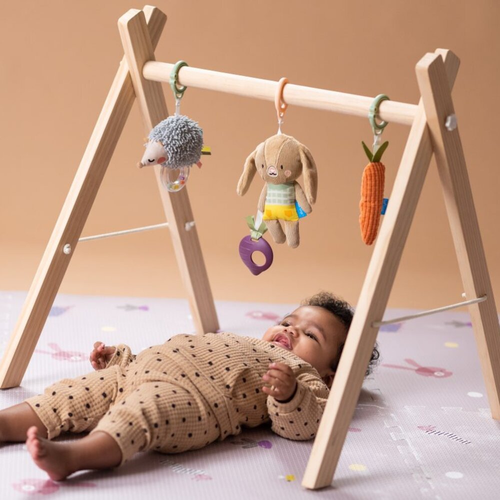 Activity Toys Kit