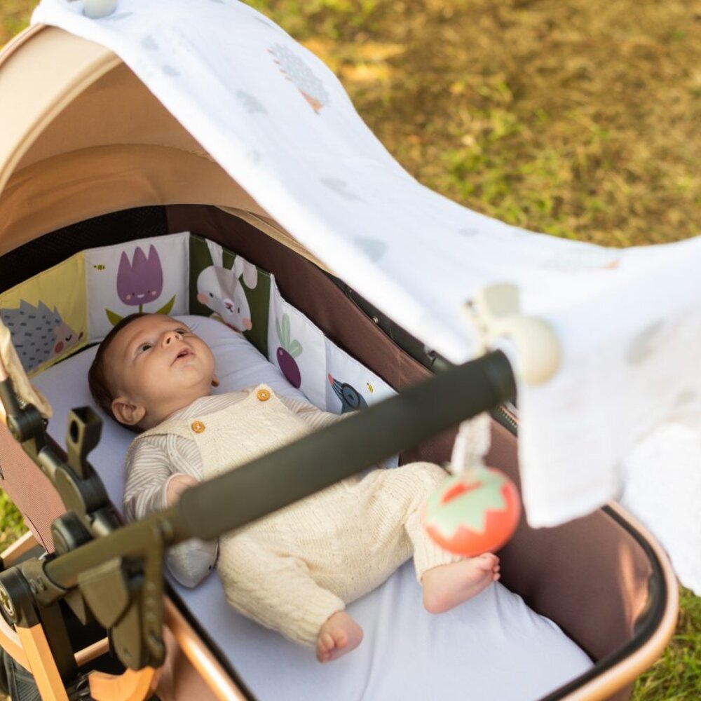 Outdoors Kit