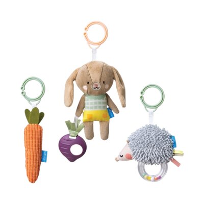 Activity Toys Kit
