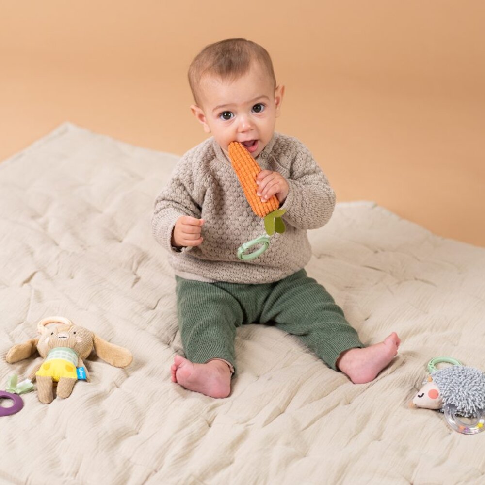 Activity Toys Kit