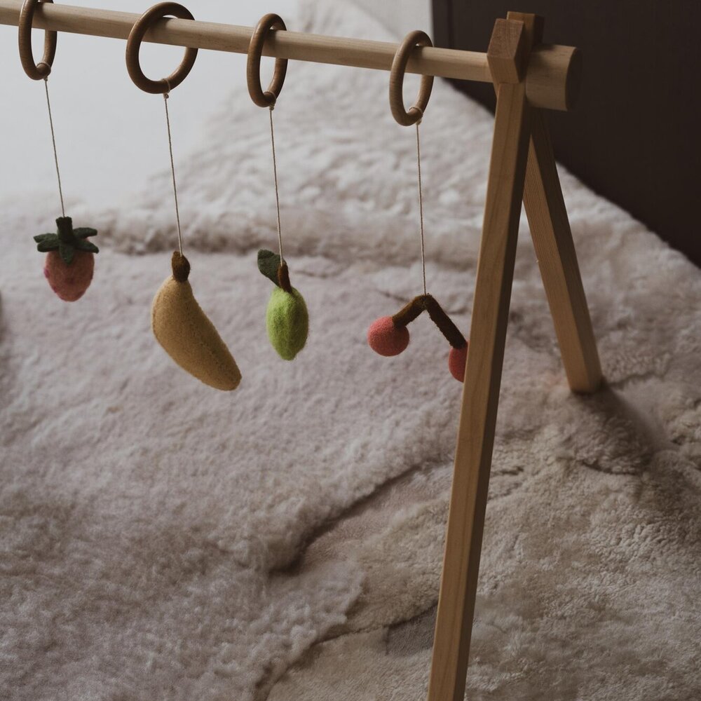 Activiteiten speelgoed set (5 stuks) Fruit