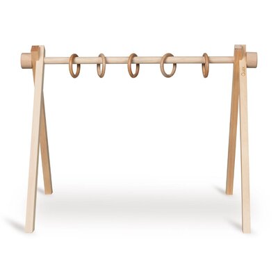 Activiteiten speelgoed set (5 stuks) Dino
