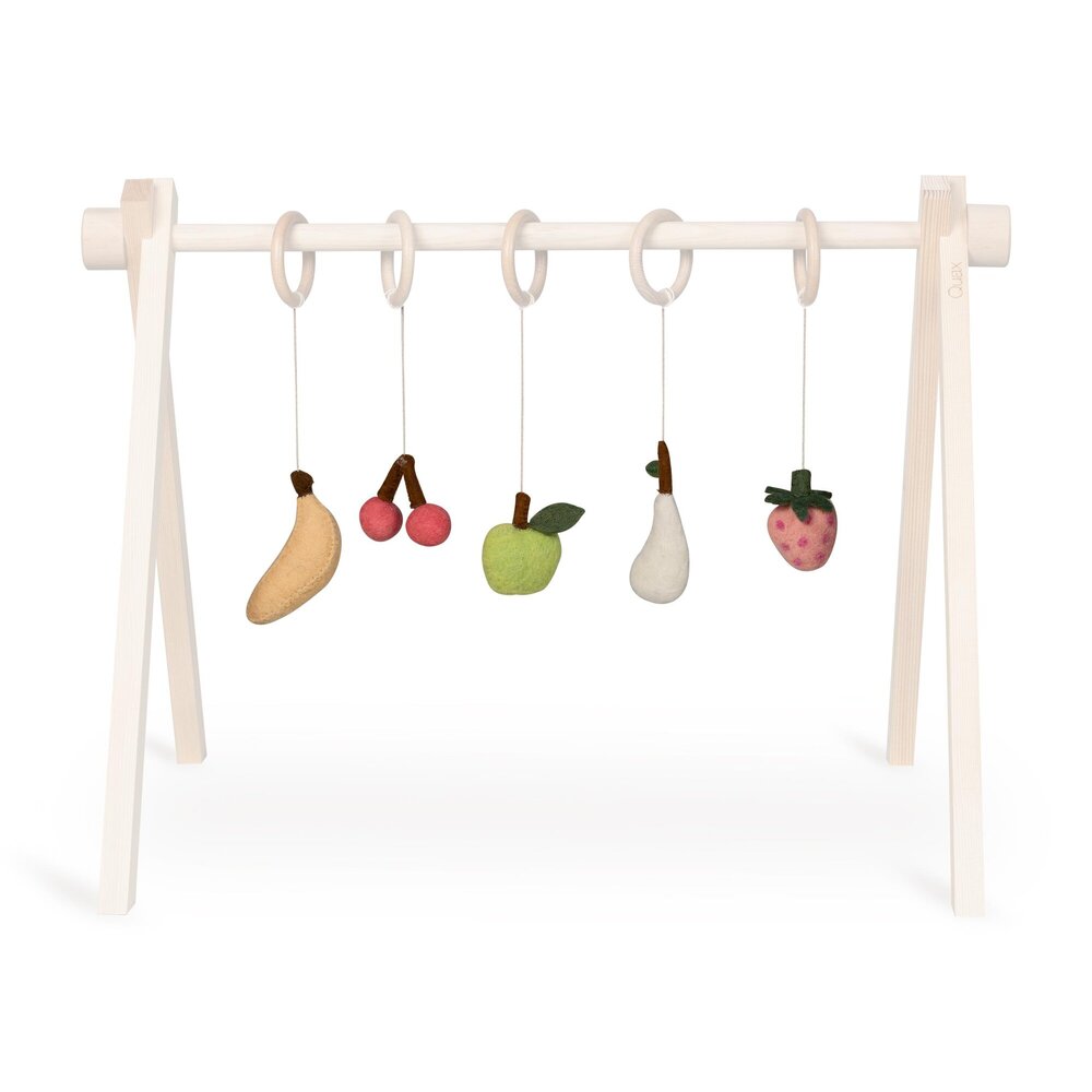 Activiteiten speelgoed set (5 stuks) Fruit