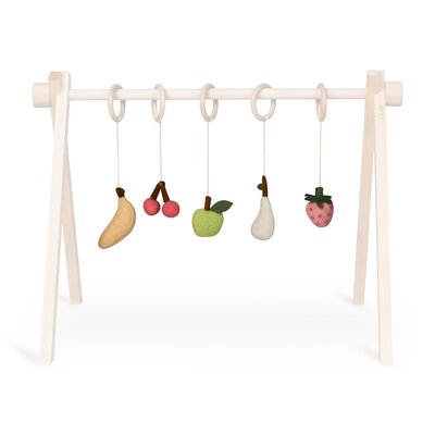 Activiteiten speelgoed set (5 stuks) Fruit