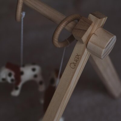 Activiteiten speelgoed set (5 stuks) Dino