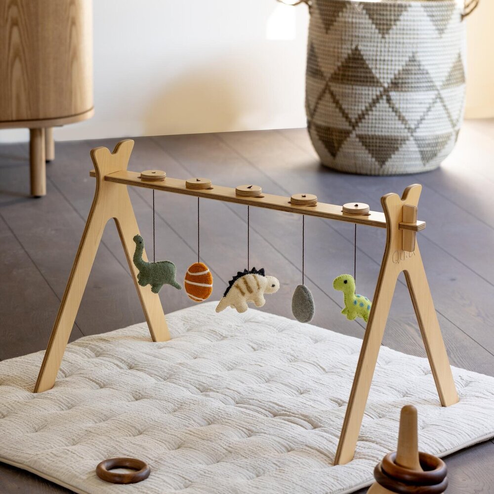 Activiteiten speelgoed set (5 stuks) Dino
