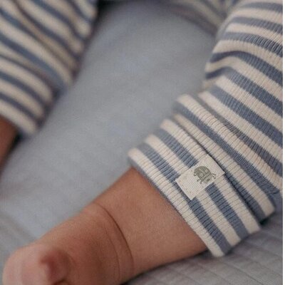Boxpakje Forest Friends Blue stripe