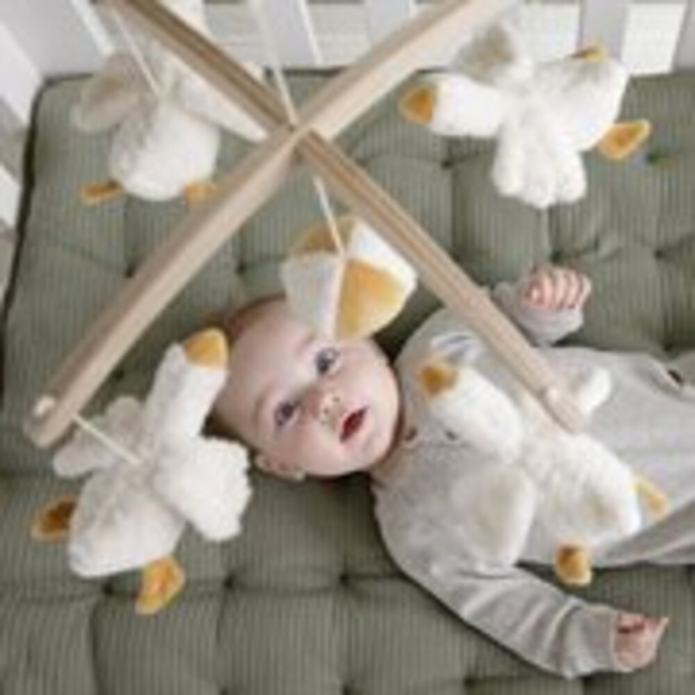 Muziekmobiel Little Goose