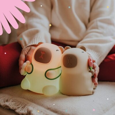 Led lamp - Kapibara Florist