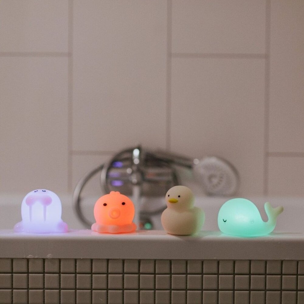 Led lamp - Sea kit