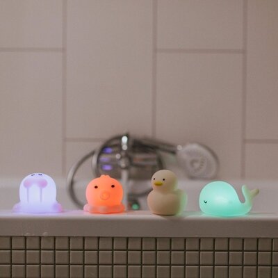 Led lamp - Sea kit