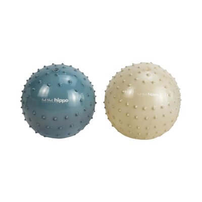 Set van 2 sensorische ballen - Blauw metallic & kh