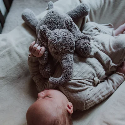 Hartslagknuffel oplaadbaar George Grey