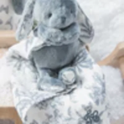 Augustin, het konijn Blue grisé
