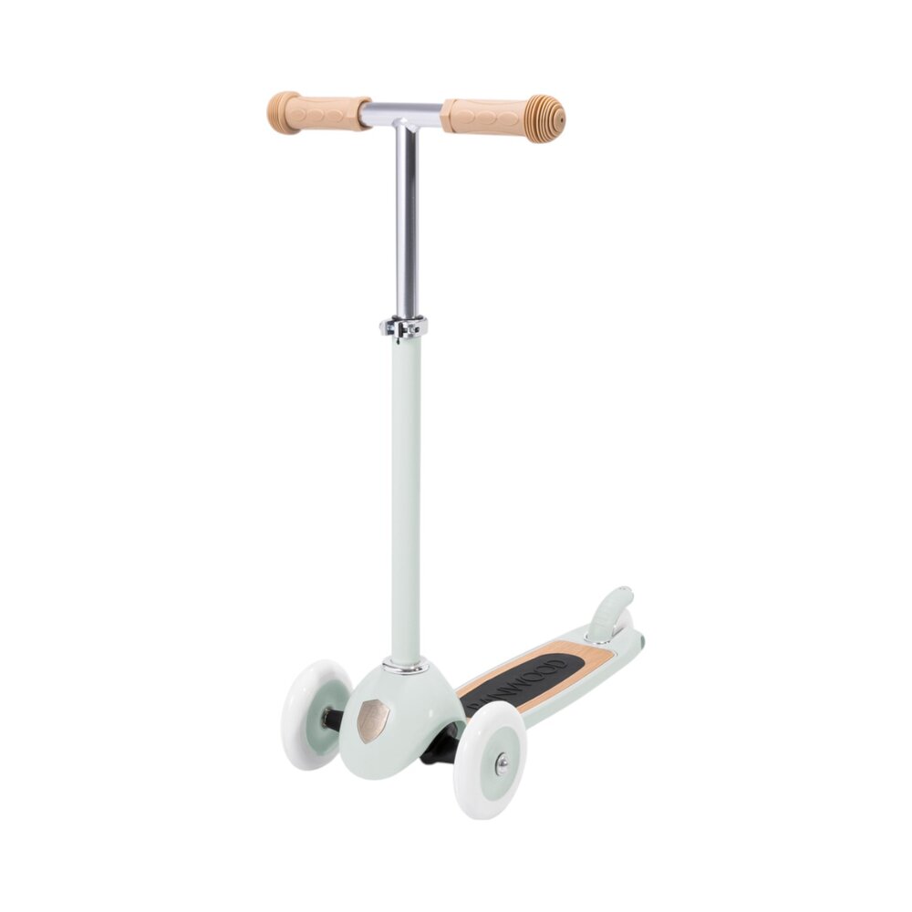Scooter step Mint