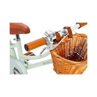 Classic Fiets Pale Mint