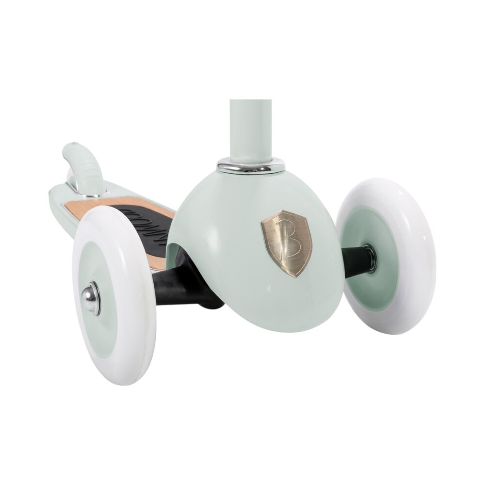Scooter step Mint