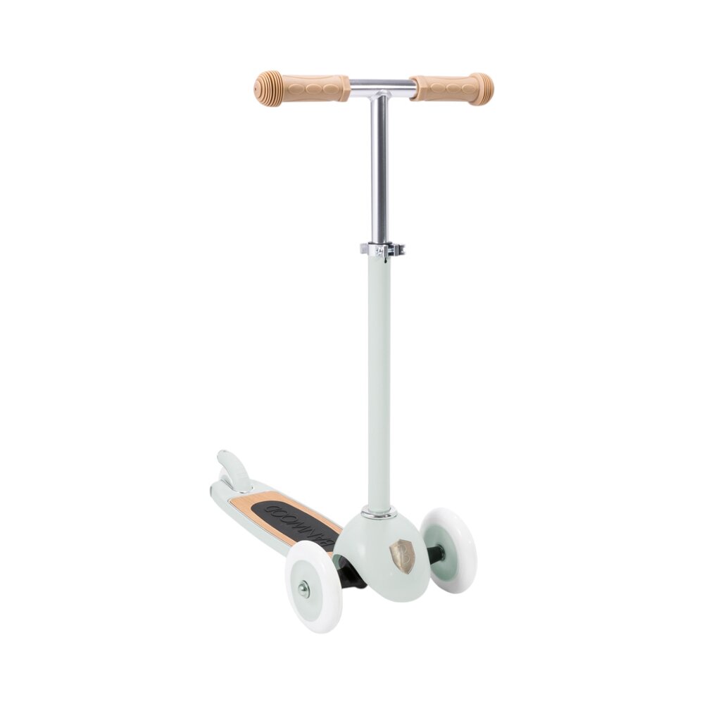 Scooter step Mint