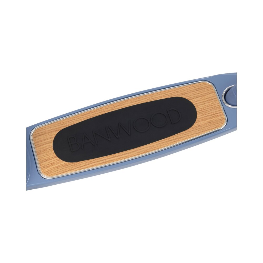 Scooter step Blue