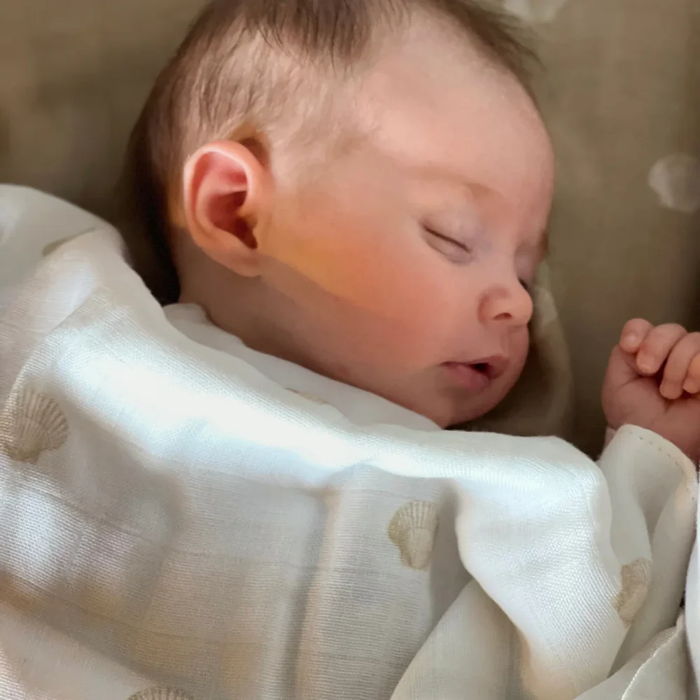 Swaddle - XL 120x120 The Shell White