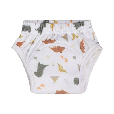 Blush & Blossom - Training Pants 18-24m Dinosaur