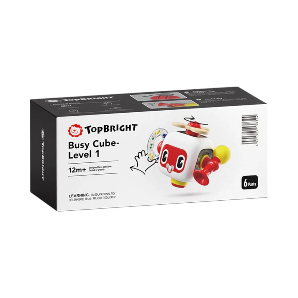 Busy Cube +12 maanden