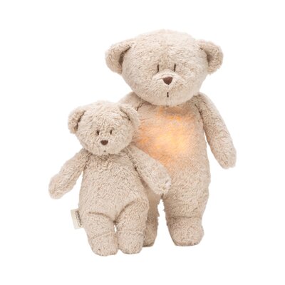 Sensory Little Teddy Sand