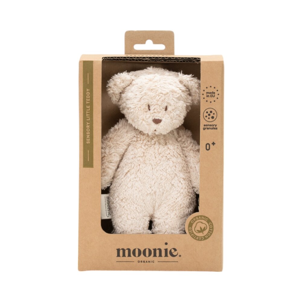 Sensory Little Teddy Sand