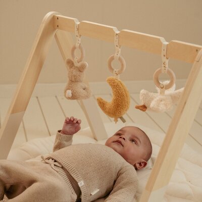 Babygym
