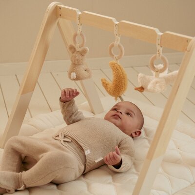 Babygym