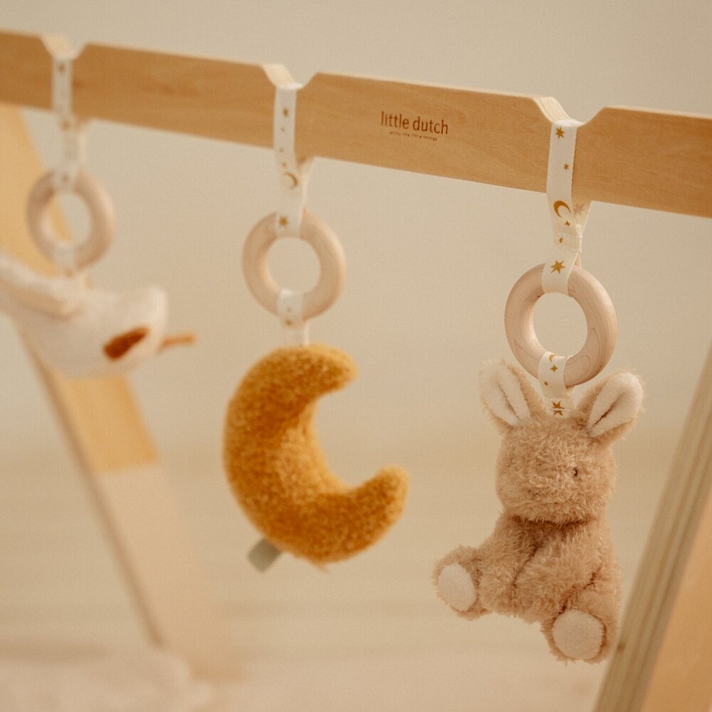 Babygym