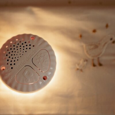 Licht en geluid Baby Bunny GRS