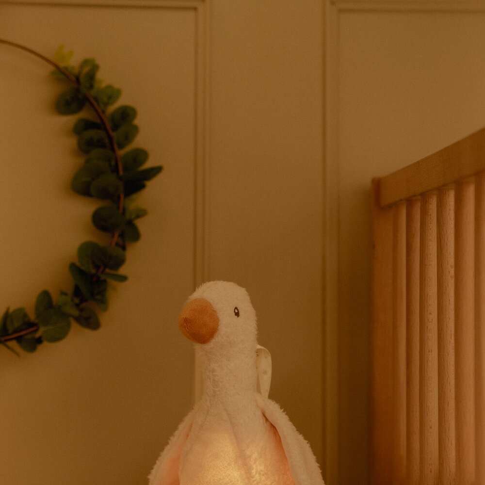 Licht en geluid baby goose GRS