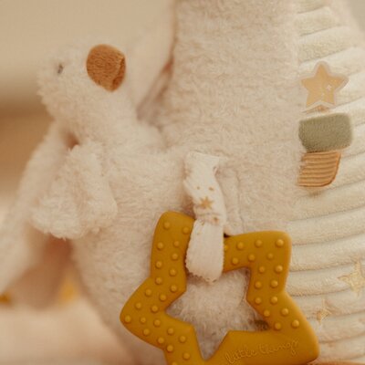 Activiteiten knuffel Baby Goose GRS