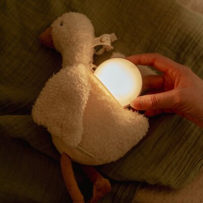 Licht en geluid baby goose GRS