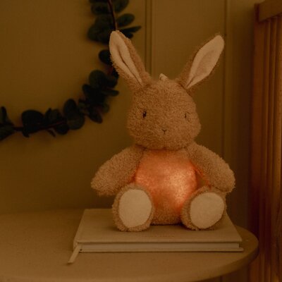 Licht en geluid Baby Bunny GRS