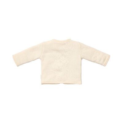 Omkeerbaar vestje Little goose