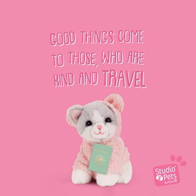 Mini Kitten Ragdoll Mousie (incl. paspoort en stickerboekje)