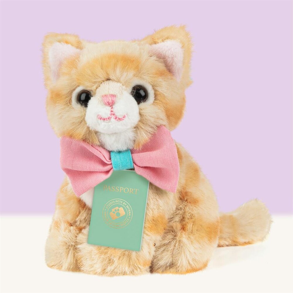 Mini knuffel Kitten Europese Korthaar Tommy (met eigen pasport en stickerboekje)