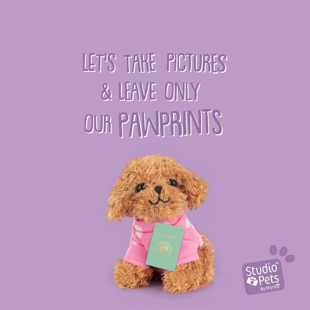 Mini Puppy Poodle Cookie (incl. paspoort en stickerboekje)