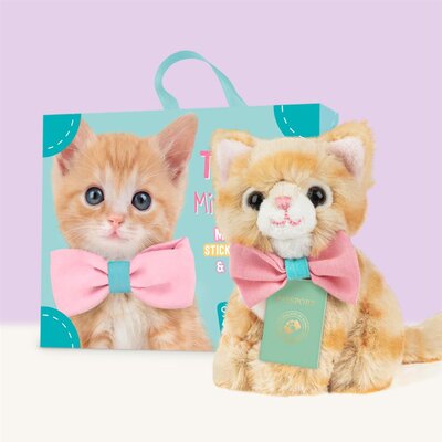 Mini knuffel Kitten Europese Korthaar Tommy (met eigen pasport en stickerboekje)