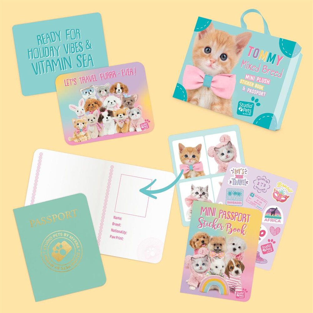 Mini knuffel Kitten Europese Korthaar Tommy (met eigen pasport en stickerboekje)