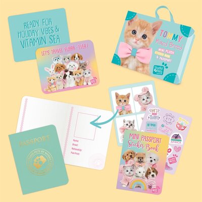 Mini knuffel Kitten Europese Korthaar Tommy (met eigen pasport en stickerboekje)