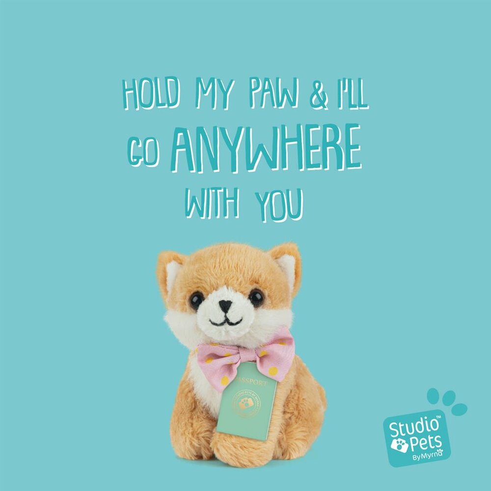 Mini Puppy Pomeranian Pompom (incl. paspoort en stickerboekje)