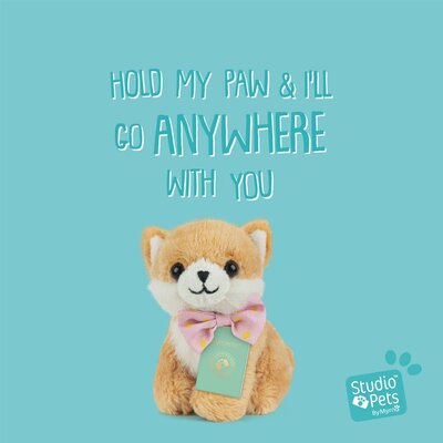 Mini Puppy Pomeranian Pompom (incl. paspoort en stickerboekje)